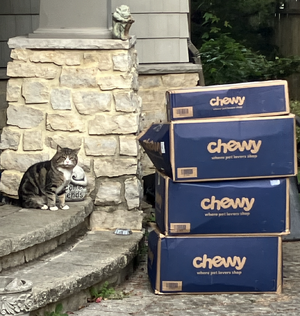 shastaandchewyboxes.png