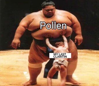 allergiessuck.jpg