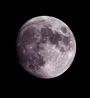 IMG_0081.jpeg