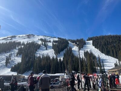 IMG_8021.jpeg