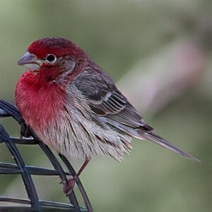 IMG_8217.JPG