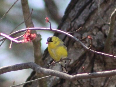 IMG_2567.JPG
