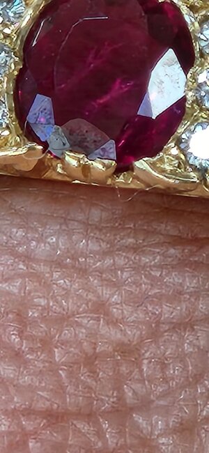 20250417_112717.jpg