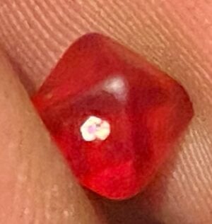 IMG_9070.jpeg