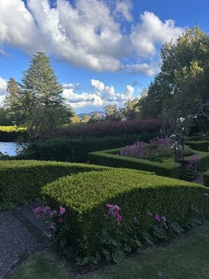 IMG_3077.jpeg
