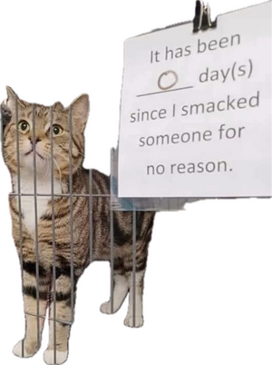 15.png