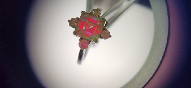 20250422_082252.jpg
