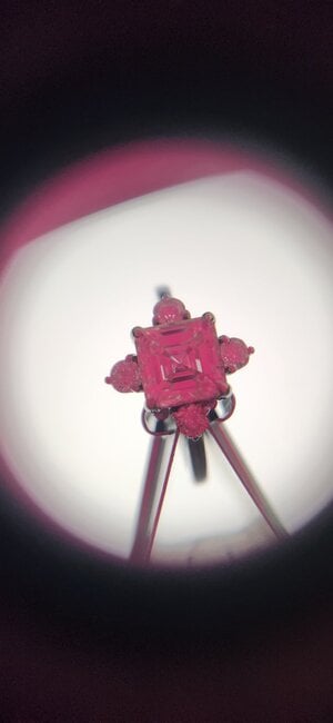 20250422_083247.jpg