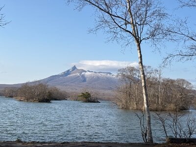IMG_9418.jpeg