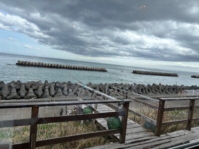 IMG_9358.jpeg