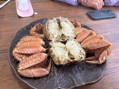 IMG_9374.jpeg
