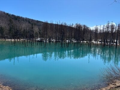 IMG_9319.jpeg