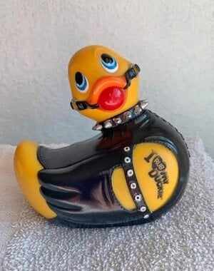 IMG_2372.jpeg