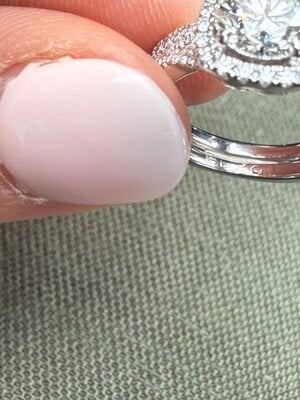 IMG_7426.jpeg