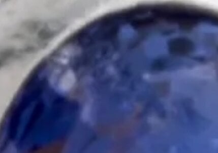IMG_7269.jpeg