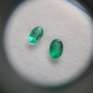 20250424_153628.jpg