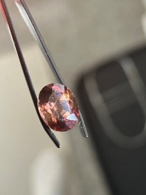 IMG_5871.jpeg