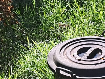 20250427_113729.jpg
