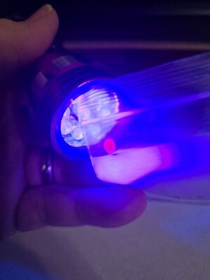 20250425_190202.jpg