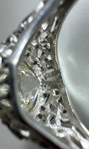 IMG_9978.jpeg