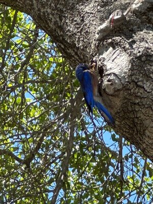 IMG_7951.jpeg