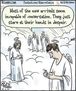angels.jpg