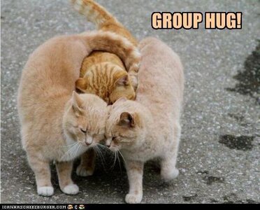 hug.jpg