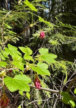 IMG_8005.jpeg