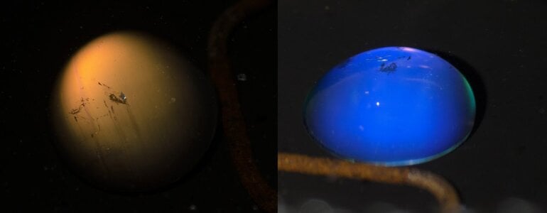 Moonstone2Tone.jpg