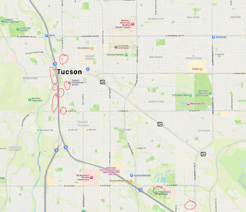 TucsonGemshows.png