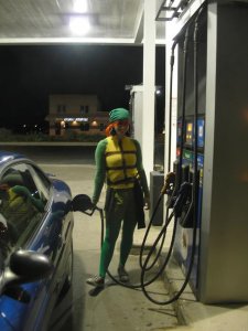 turtle8.JPG