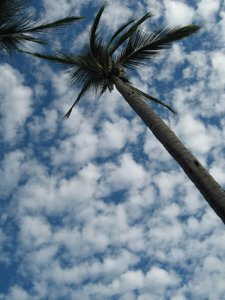 acapulco h.jpg