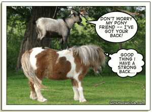goat2.gif