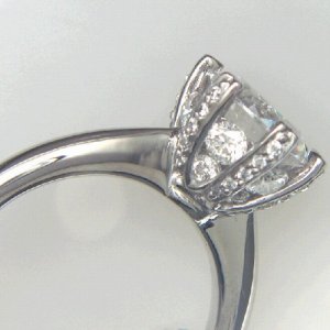 ritani1jjc.jpg ritani1jjc.jpg