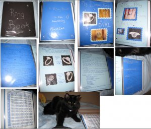 bigringbook.jpg