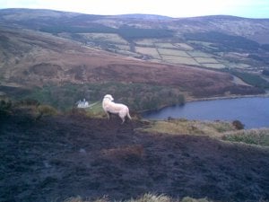 amber and lake.jpg