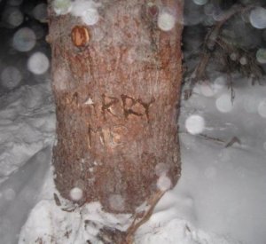 marrymetree2.JPG