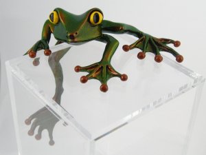 Climbing Frog.JPG