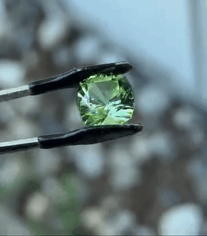 VID_20250502_181056_339(1).gif