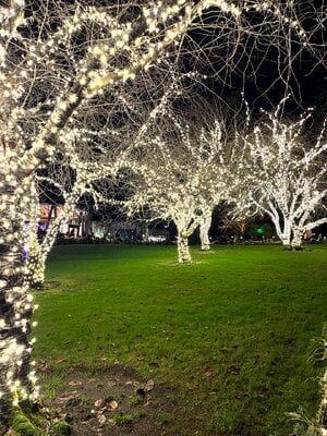 IMG_1750.jpeg