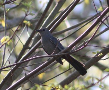 IMG_2590a.JPG