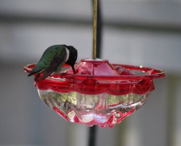 IMG_2591.JPG