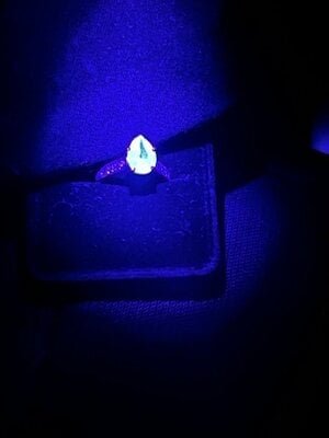 blue glow.jpeg