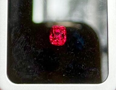 IMG_4223.jpeg