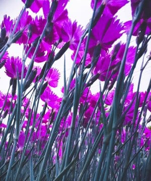 IMG_4463.jpeg