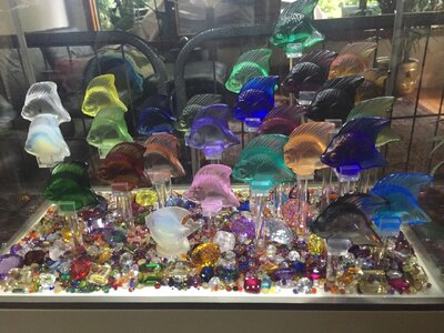 IMG_5235.jpeg