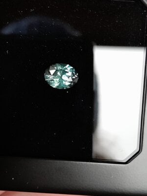 20250124_152324.jpg