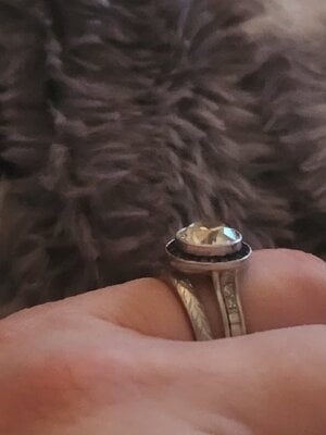 20250210_175449.jpg