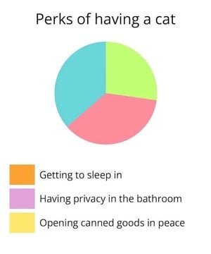 2148794.jpeg