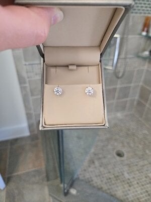 Earrings.jpg